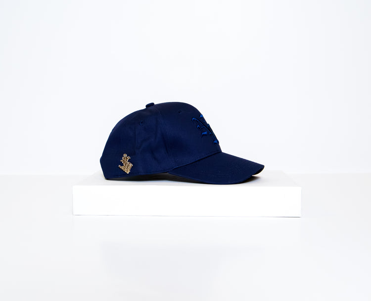 “Being Fly Comes Easy” Cap -Navy